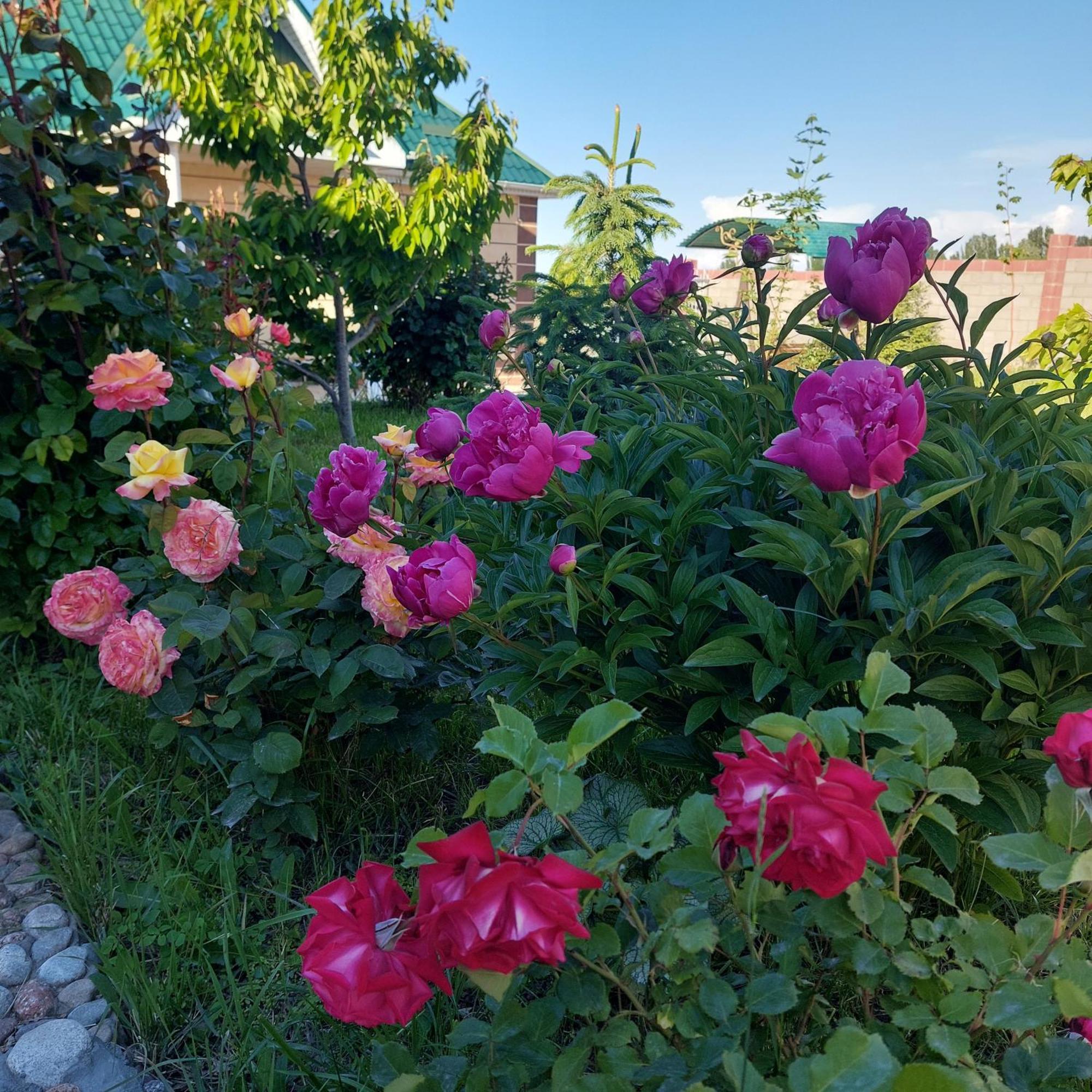 Svetlana Guest House Bokonbayevo Exteriör bild
