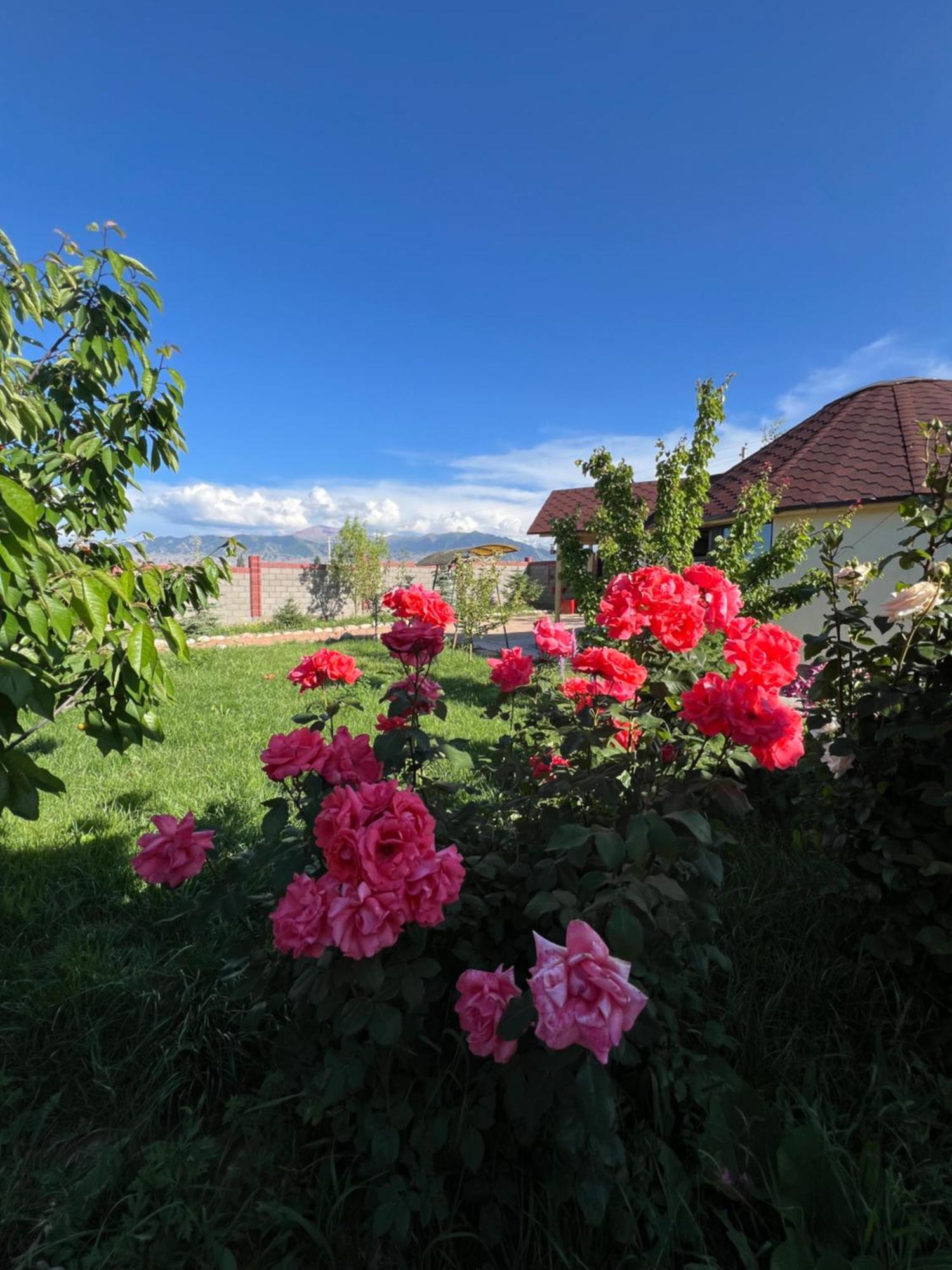 Svetlana Guest House Bokonbayevo Exteriör bild