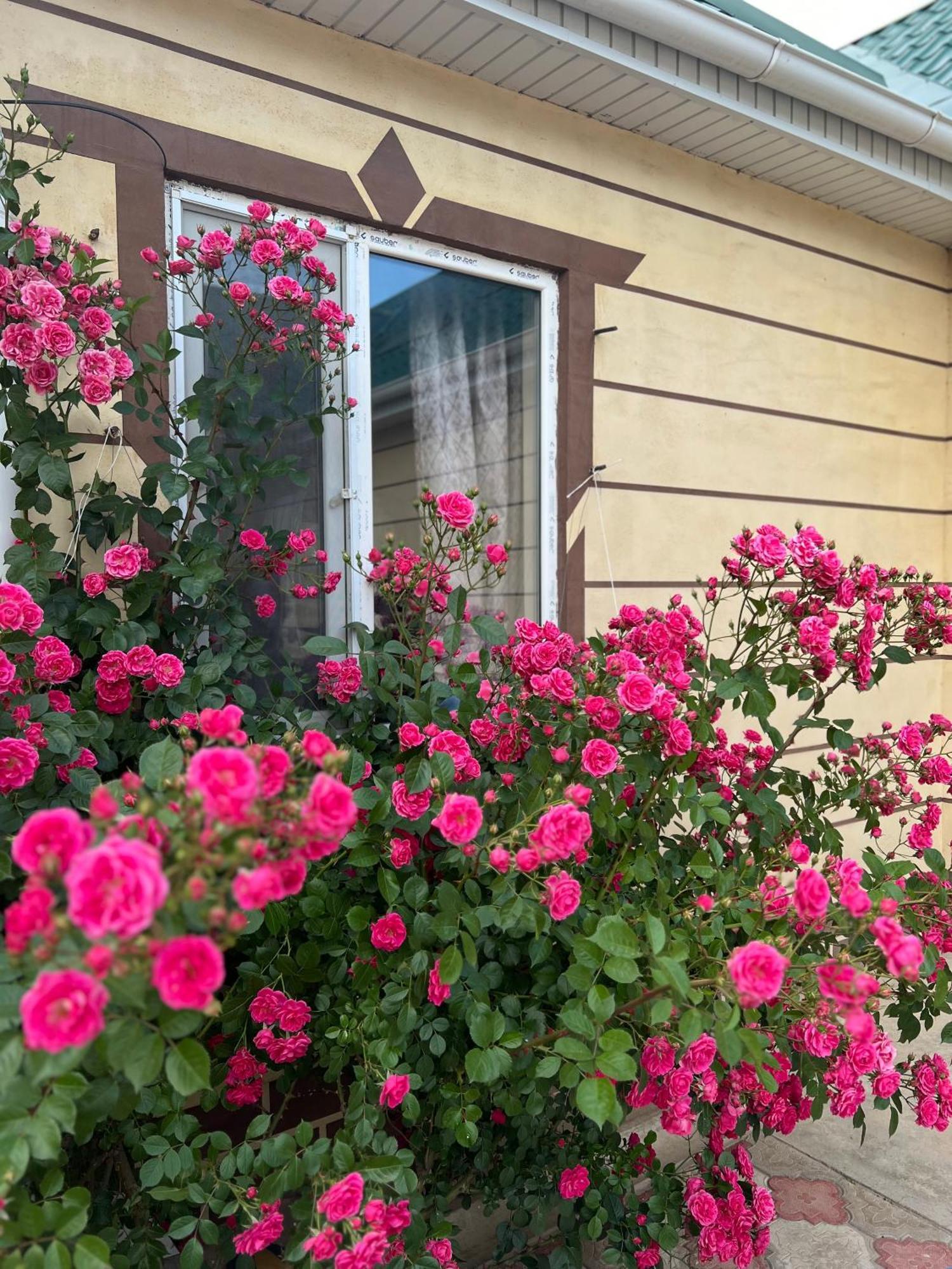 Svetlana Guest House Bokonbayevo Exteriör bild